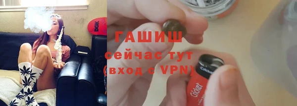 гашик Алексин