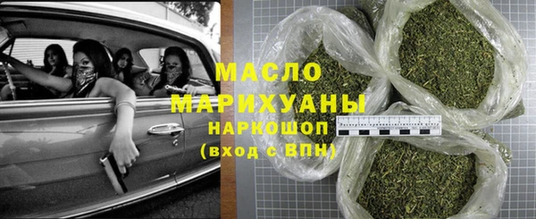 гашик Алексин
