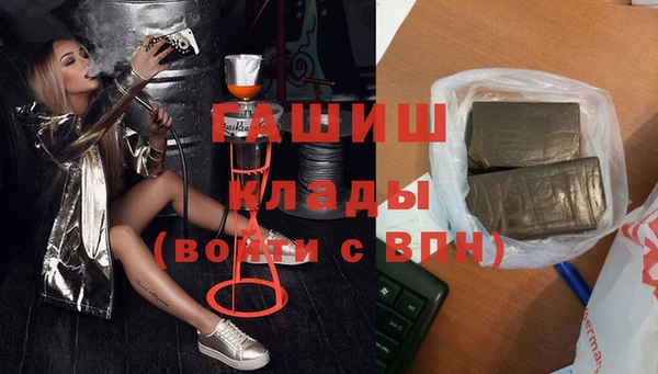 гашик Алексин