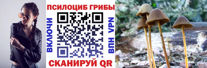 Псилоцибиновые грибы мухоморы  Зеленоградск 