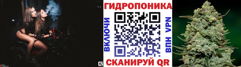где купить наркоту  hydra как зайти  Канабис LSD WEED  Зеленоградск 